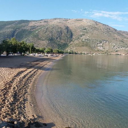 Panorama Plataria Ionio Studios&Apartments المظهر الخارجي الصورة